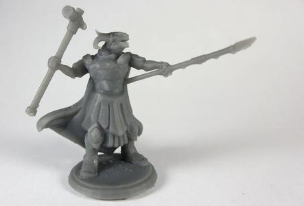 Dragonborn Warlord (multiple poses)
