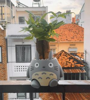 Cute Totoro planter/organizer