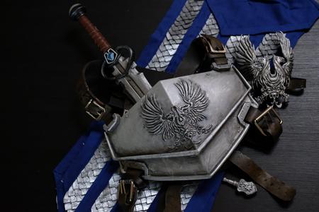 Grey warden cosplay collection
