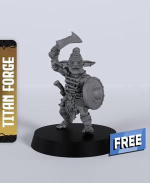 Goblin Fighter – With Free Dragon  – 5e DnD Inspired for RPG and Wargamers