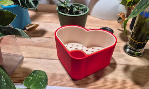 Self-Watering Planter in Valentinstag Design