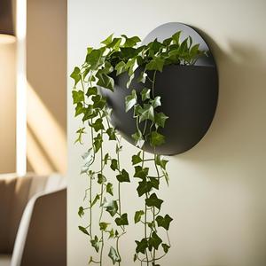 Wall-mounted ball plant pot
