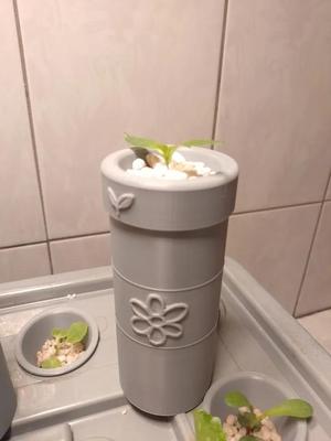 Small Kratky   