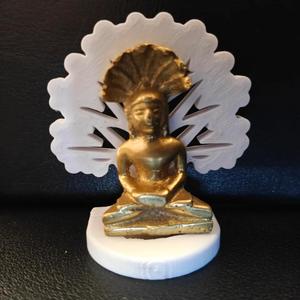Ashoka Tree