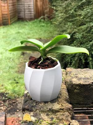 Twisted Pot