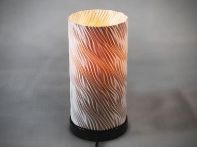 Helical waves lamp shade