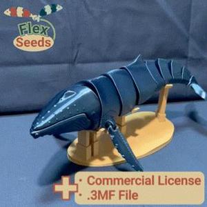 Flexi Humpback Whale Mark-Ⅱ(Print-in-place)