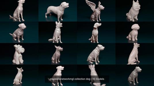playstationetworkmgl collection dog