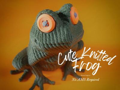 Cute Knitted Frog
