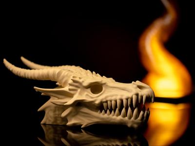 Dragon Skull Fossil V2
