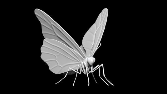 high poly butterfly