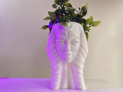 AHSOKA TANO BUST PLANTER