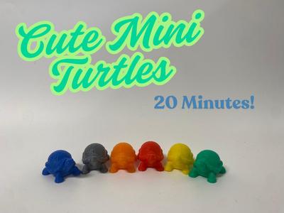 Cute Mini Turtles! 