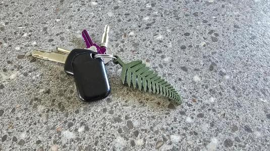 Silver Fern Keychain   
