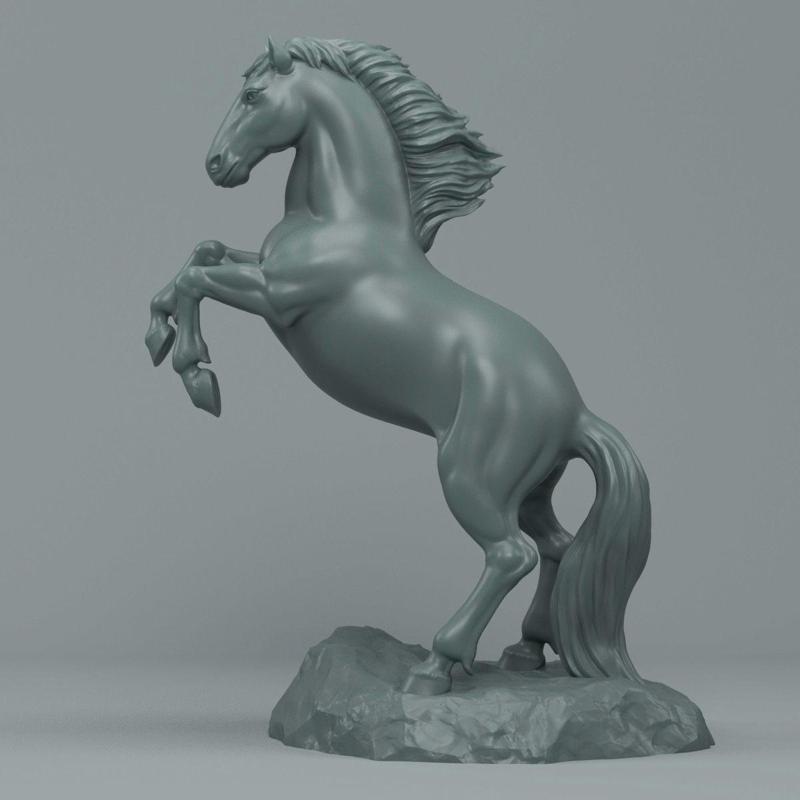 Horse raer
