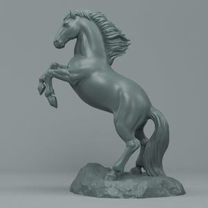 Horse raer
