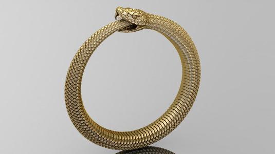 Ring Snake