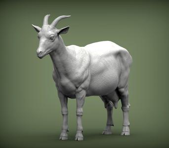 goat 3D print model