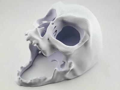 dice tower skull