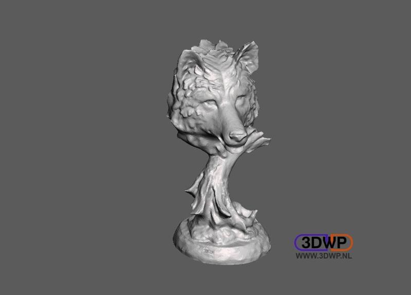 Wolf Head 3D Scan