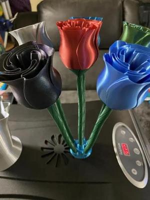 Vase Rose Accessories
