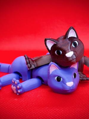 Fabulous Flexi Felines – AKA Flexi Cats