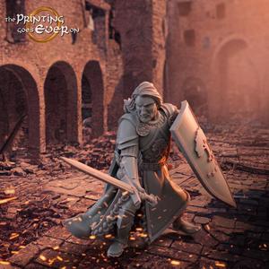 Barazan – Sword and Shield – Presupported