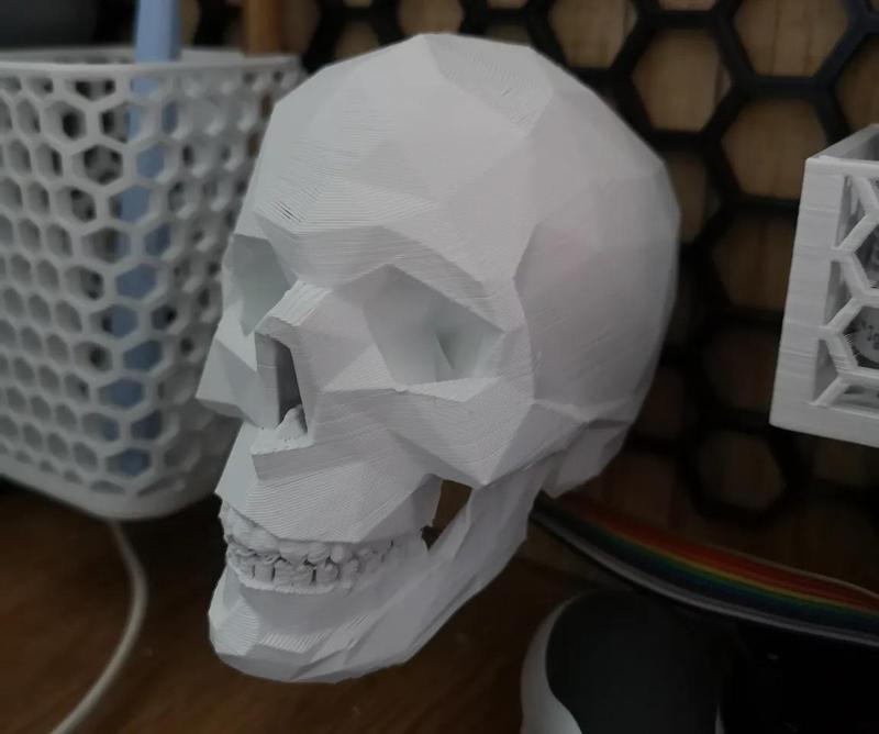 HSW Low poly skull