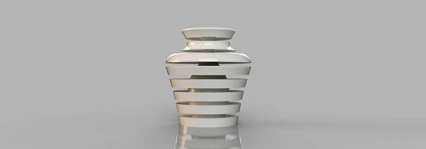 Vase in a Vase