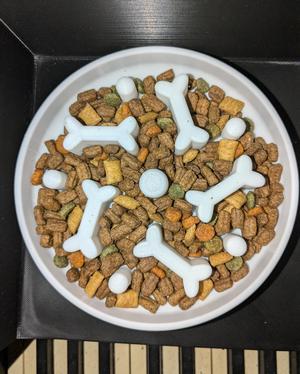 Slow Feeder Cat/Dog Bowl