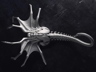 Alien Queen FaceHugger Sculpture Printable 3D Model