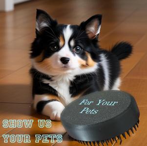 Brushes For Your Pet