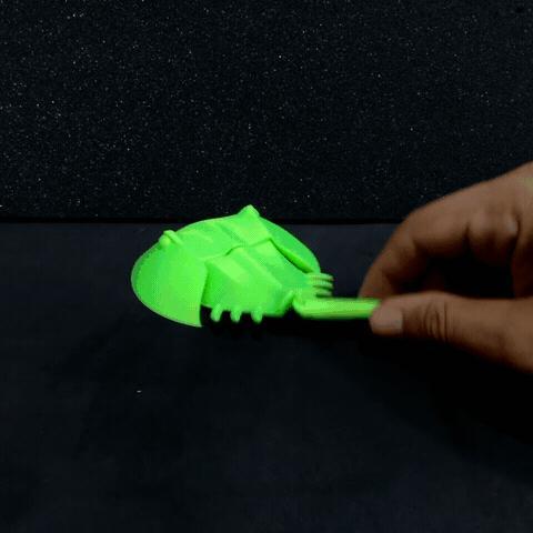 flexi print   horseshoe crab bad