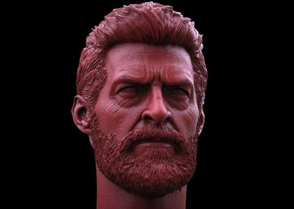 Logan Hugh jackman Head