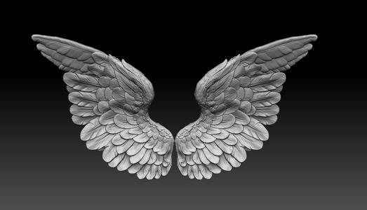 angel wings