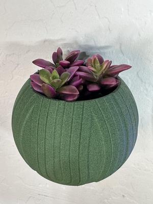 Modern Wall Mounted Succulent Pot