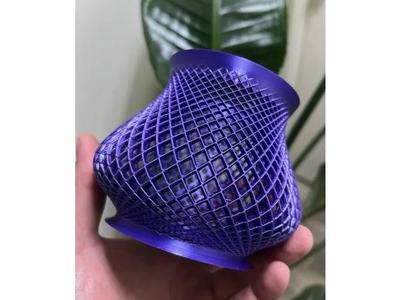 Wireframe Spiral Organizer