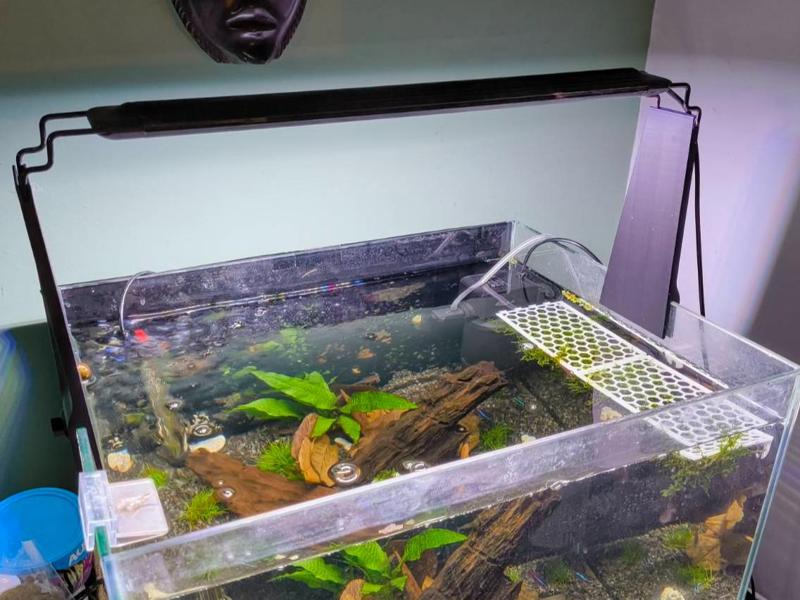 Aquarium Light Riser – Glass up to 7mm thick.