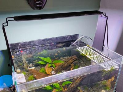 Aquarium Light Riser – Glass up to 7mm thick.