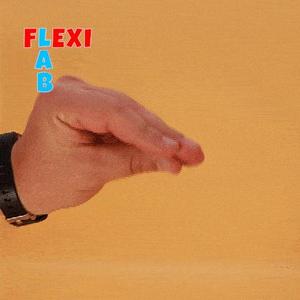 Hand puppet wolf marionette – Flexi LAB