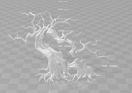 borrow tree – low poly