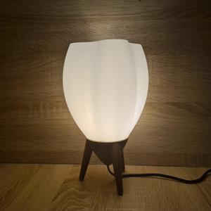 Modern Table Lamp