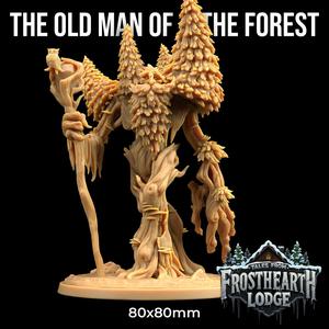 The Old Man of The Forest