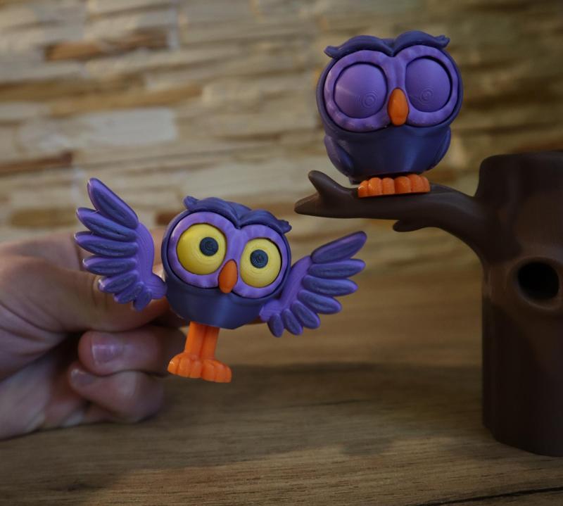Sleepe owl