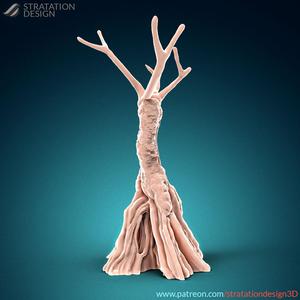 Swamp Cypress Tree