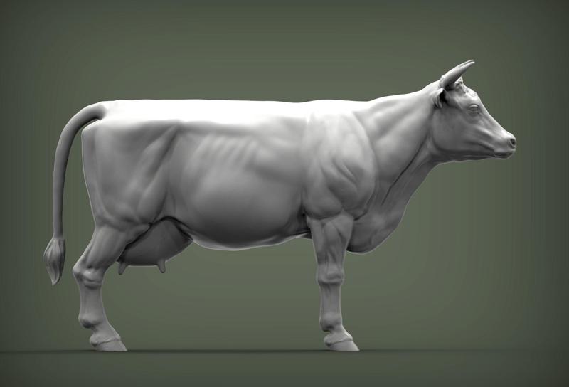 Cow 3D print model