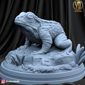 frog