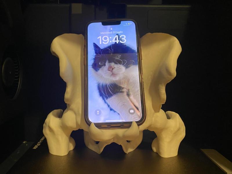 Pelvis-inspired phone holder