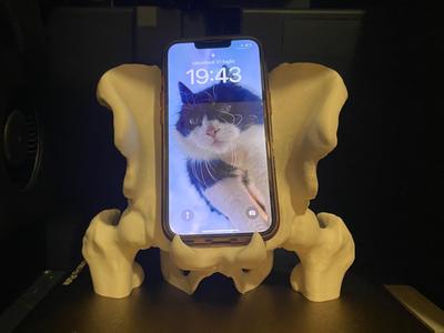 Pelvis-inspired phone holder