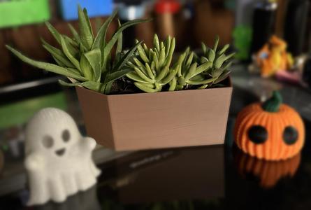 coffin succulent planter with wood texture.stl